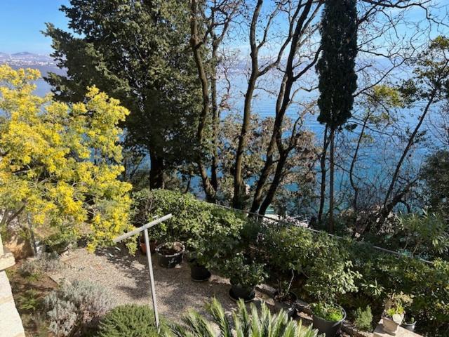 Design Camellia Opatija